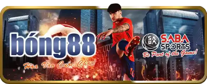 Cá cược có trách nhiệm và an toàn với ev88vn app